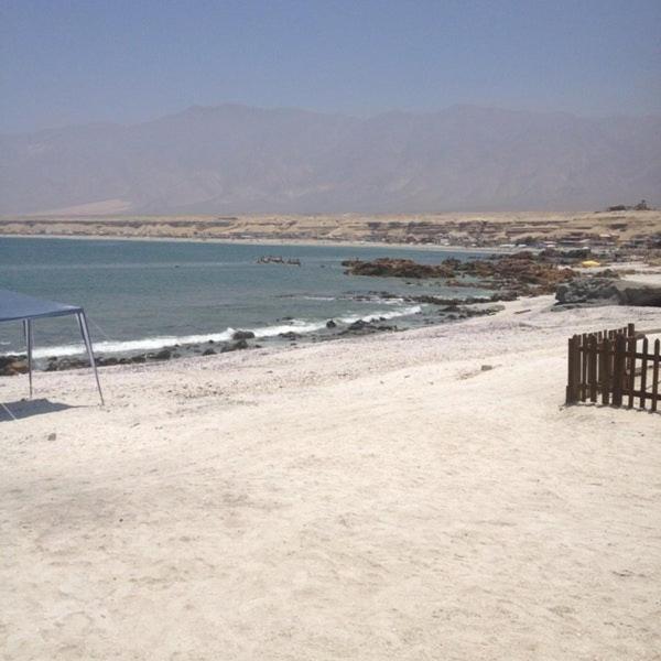 Hotel Alto Antofagasta Exterior foto
